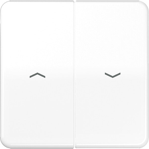 JUNG Wippe Symbole aws für Jal.Schalter CD 595 PBF WW
